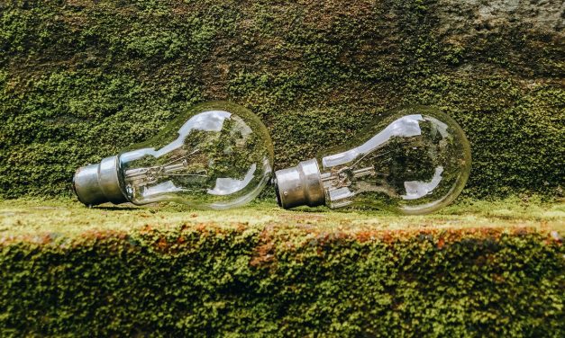 To veje til en lavere elregning: Spar eller flyt dit elforbrug!
