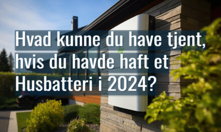 Hvad kunne du have tjent, hvis du havde haft et Husbatteri i 2024?