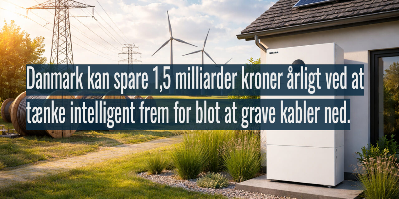 Milliarder at hente: Forbrugsfleksibilitet og batterier er nøglen til et stabilt elnet