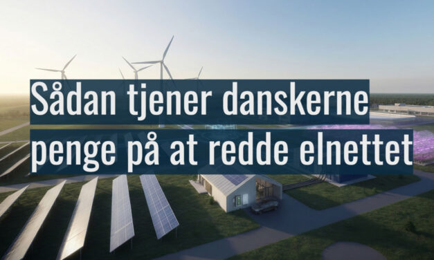 Fra skøjtehaller til villaveje: Sådan tjener danskerne penge på at redde elnettet