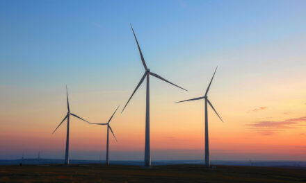 Ny undersøgelse afslører: Østdanmark fører kapløbet om at levere den grønneste strøm