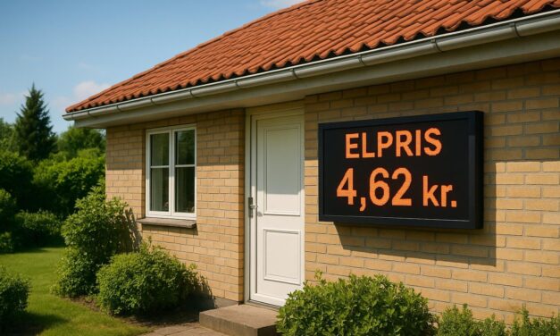 Hedebølge øger elpriserne – hvad betyder det for dig?