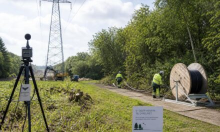 Flagermus kan forsinke milliardprojekt for elnettet